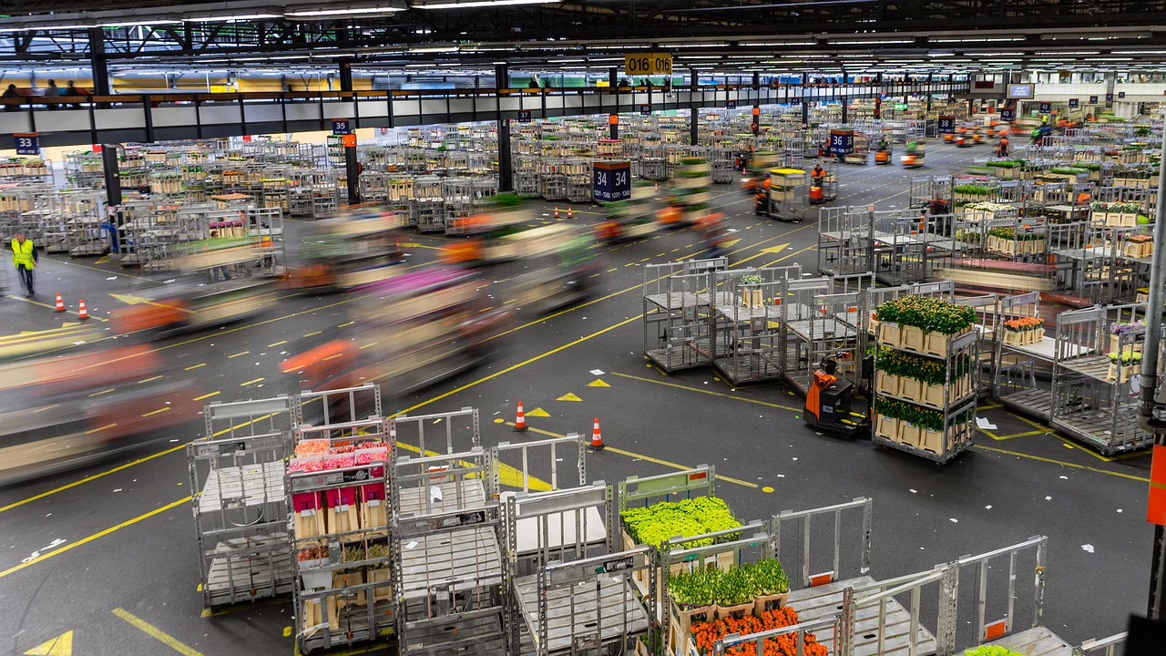 Lösungsansätze für Liquiditätsprobleme von Großhändlern verderblicher Güter